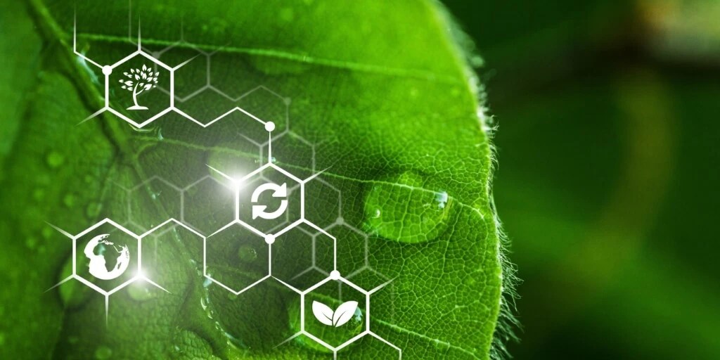 Revoluçao verde de&nbsp;Portugal